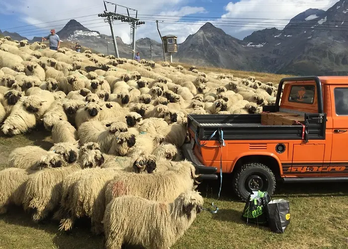 Restaurant Fleschboden