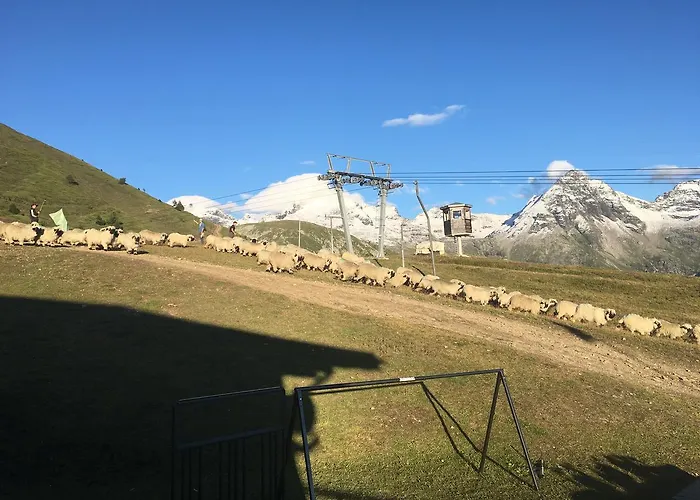 Restaurant Fleschboden Vandrerhjem *