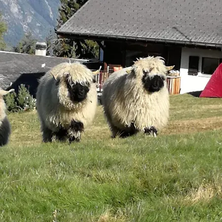 Restaurant Fleschboden * Rosswald